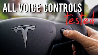 Tesla Model 3 VOICE COMMANDS (2021 Controls + SIRI) screenshot 4
