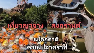 เที่ยวญาจาง สงกรานต์ คาเฟ่ปลาคราฟ