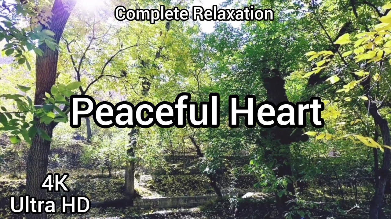 Calm Your Heart ️😌 YouTube