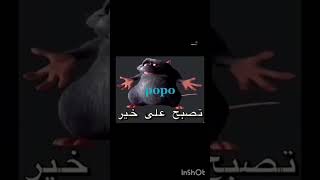 kardeşimin gülmekten altına yaptığı video (PİPİSTAN)