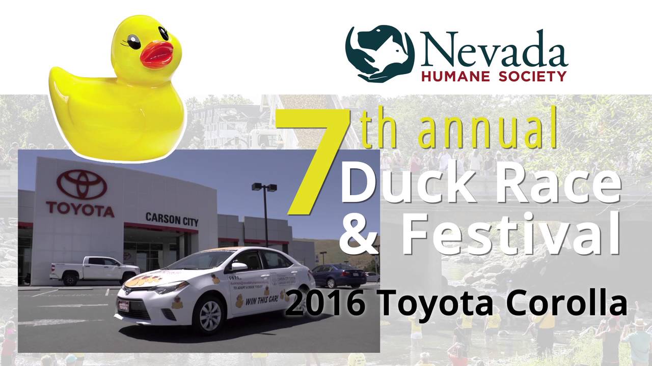 Carson City Toyota Duck Race 06132016 HD YouTube