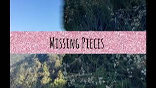 Patrick Dyer Missing Pieces