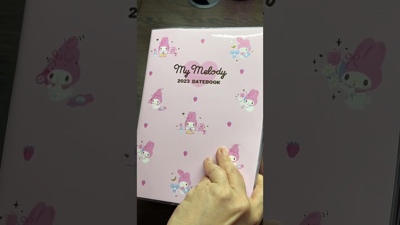 SANRIO MY MELODY PLANNER 2023 / DATEBOOK | JAPAN HAUL