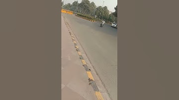 Ignou Solved Assignment BPY 4 2018-19