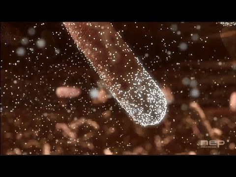 必要な腸内細菌は選ばれていた！　ナゾの物質・驚きの仕組み
