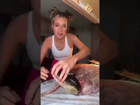 Kadakus buwaya 😱😂