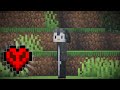 Starting my BRAND NEW Minecraft Hardcore FOREVERWORLD - Building with Kota LIVE