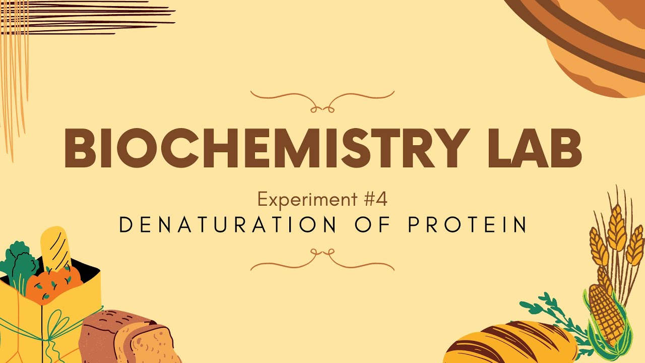 Biochemistry Experiment#4 - Denaturation of Proteins (Group 2)