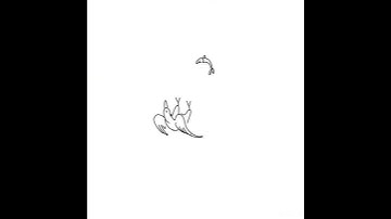 Procreate simple animation (jet bird)