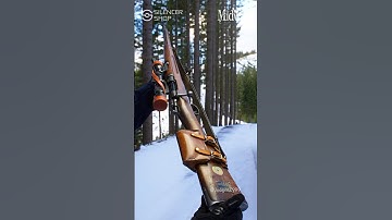 Best WWII Sniper Rifle 🇸🇪 w/Slip2000