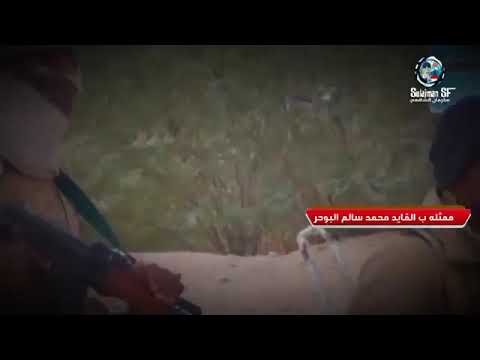 شيلات نخبه شبوانيه 