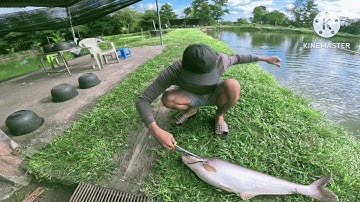 Một buổi chiều bình yên câu cá ngấm cảnh hoàng hôn ở hồ câu tuấn trắng 