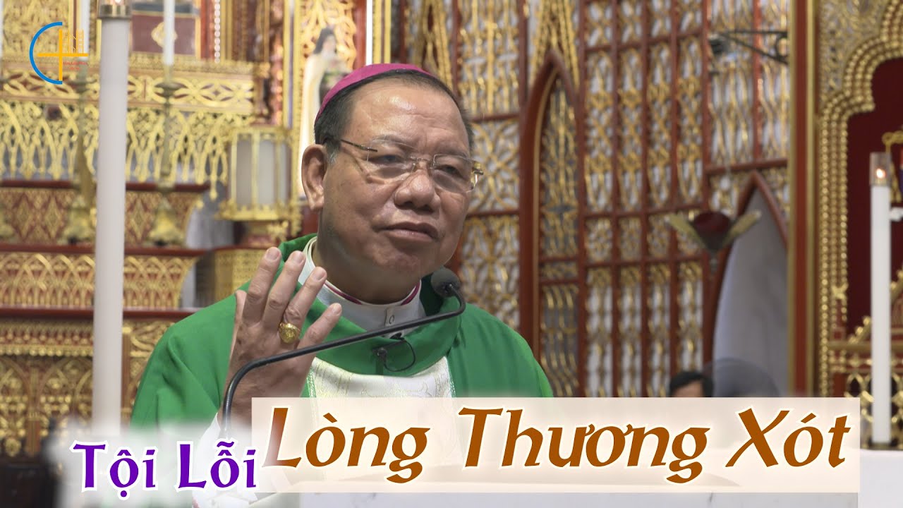 Outline Video CN XXIV TN C || Tội Lỗi và Lòng Thương Xót