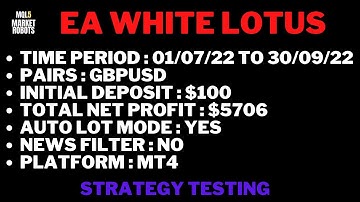 EA White Lotus MT4 Forex Robot Strategy Testing
