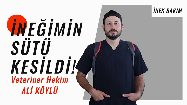İneğimin Sütü Kesildi Diyorsan izle! ( İNEKLERDE SÜT NEDEN DÜŞER)