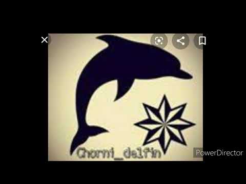 Чёрный Дельфин