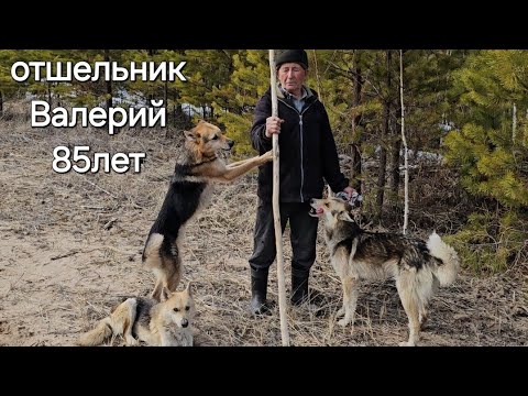 Видео: ОТШЕЛЬНИК ВАЛЕРИЙ 85 лет/МЕДВЕДЬ ПРОСНУЛСЯ #жизньвтайге #отшельник #тайга #степанабронин