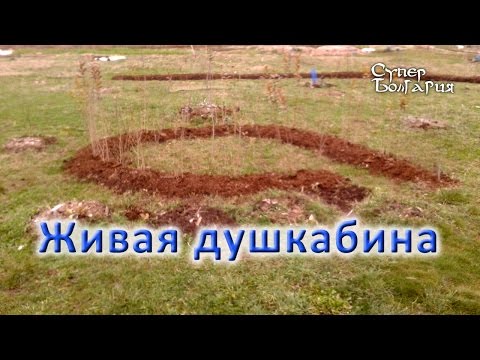 Живая душкабина в экопоместье. Природное земледелие