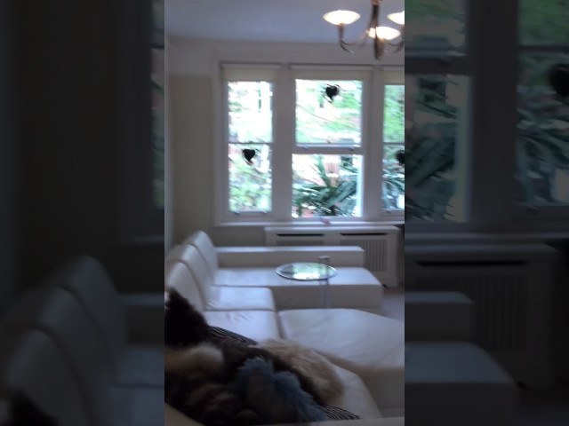 Video 1: Front room 