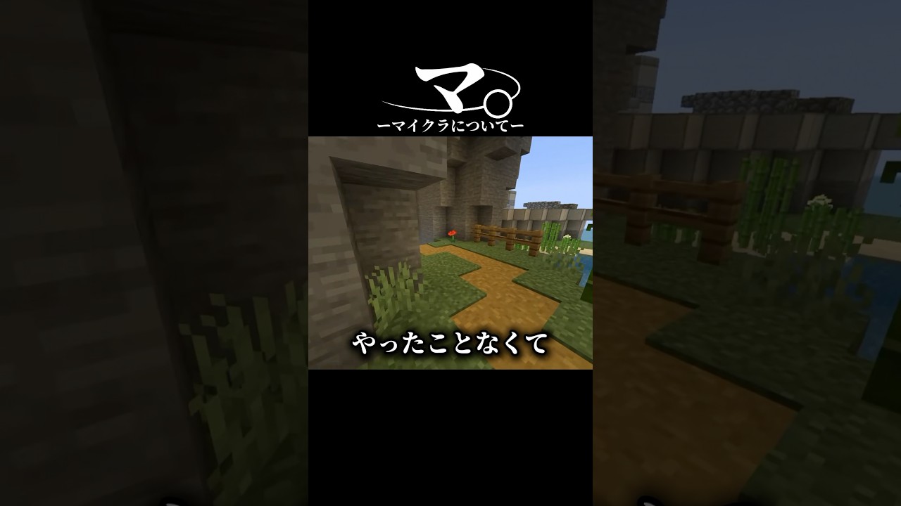 マイクラについて