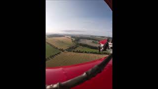 Dingo.  Morning Flight . 04 07 23