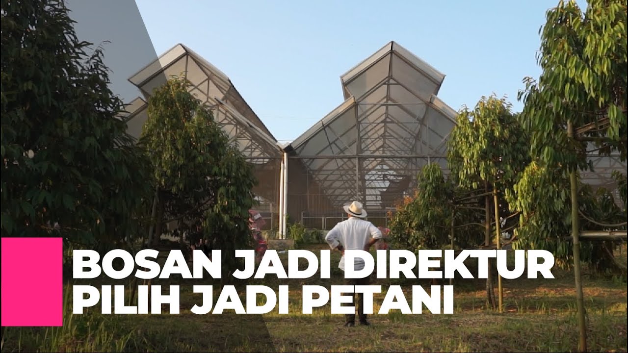Pertanian Modern Terpadu | DW Farm