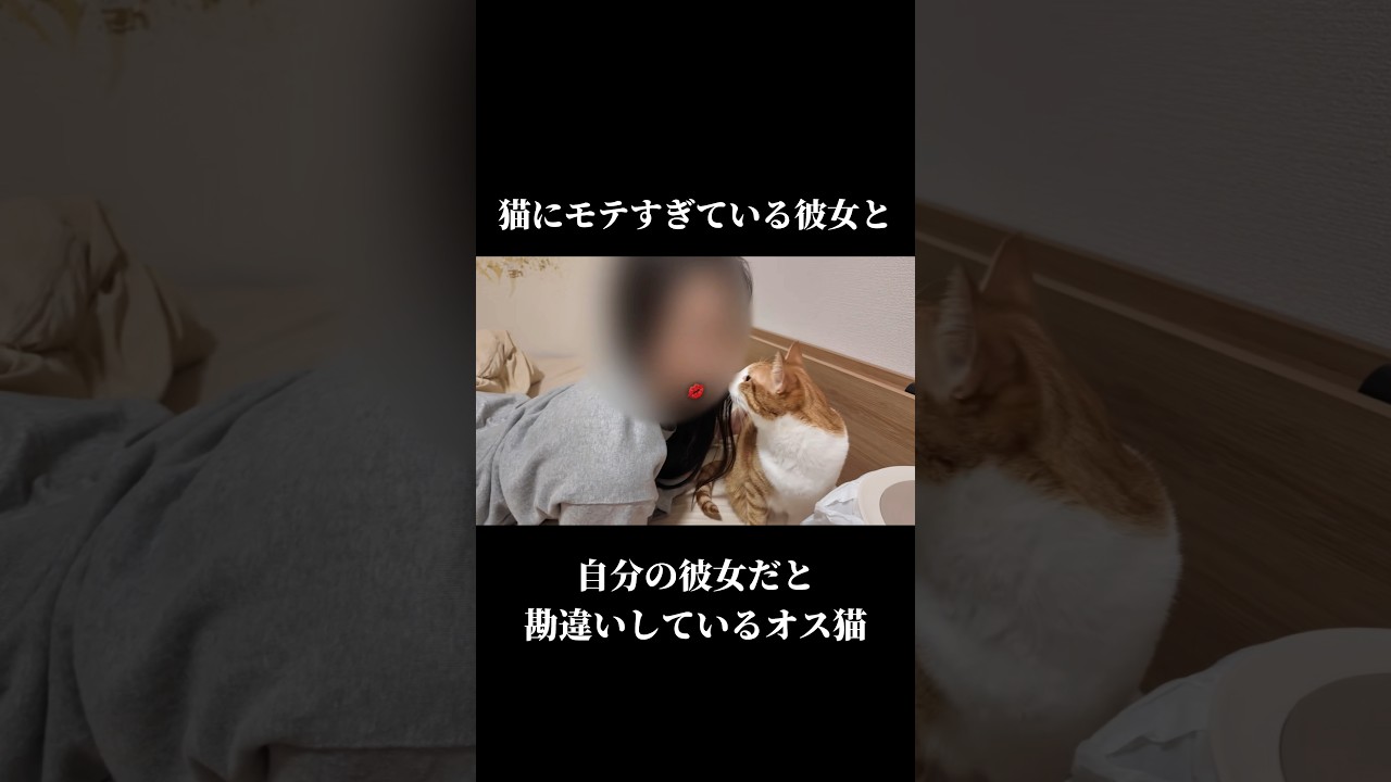 彼女とイチャイチャするオス猫がこちら…