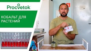 Подкормка растений кобальтом. Органическое (природное) земледелие. Сад, огород. Подкормка растений кобальтом. Органическое (природное) земледелие. Сад, огород.