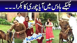 Bulbulay House Mein Aya Chori Ka Bakra - Mehmood Sahab | Bulbulay