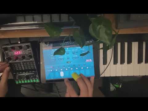 Ambien soundscapes with mononoke and miRack