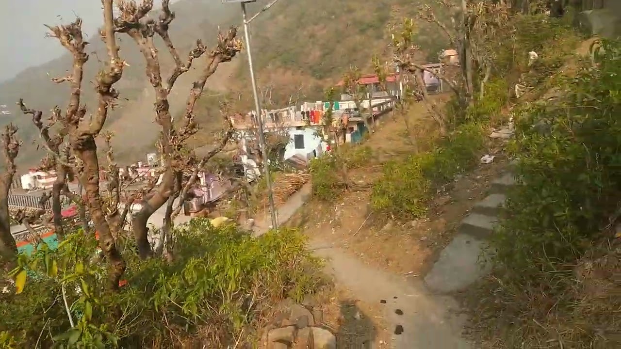 Subscribe karo please aur kisi ko gay chahie Ho to mere se sampark Karen agar subscribe Kiya hoga 