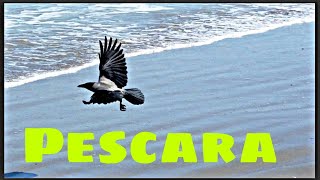 il mare di Pescara inverno 2021