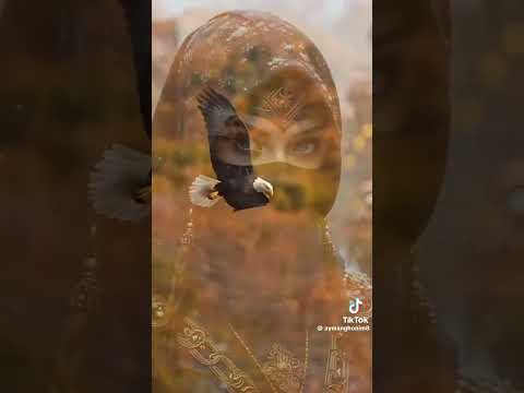 احنا كيف الصقر فوق