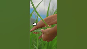 Larry Fink on Sustainable Investments Building a Greener Future #finance #investment #smartinvesting