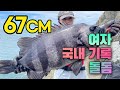 사고쳤습니다....67CM 여자 국내 기록 돌돔 (초도 돌돔 낚시)