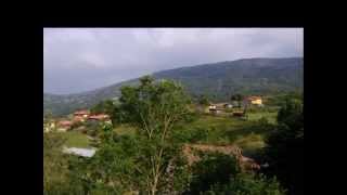 Narganes