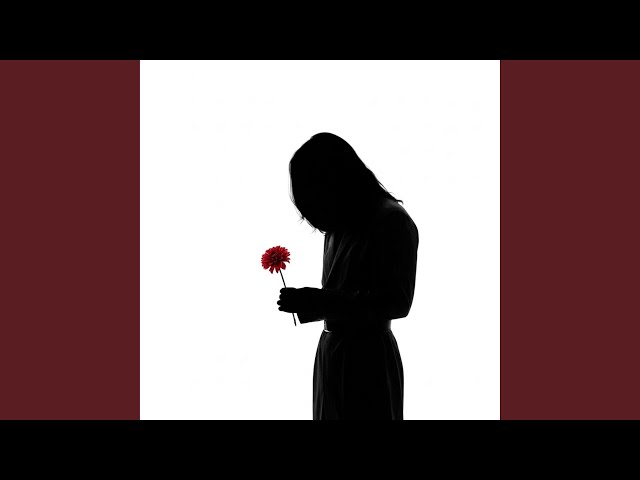انتي المطر