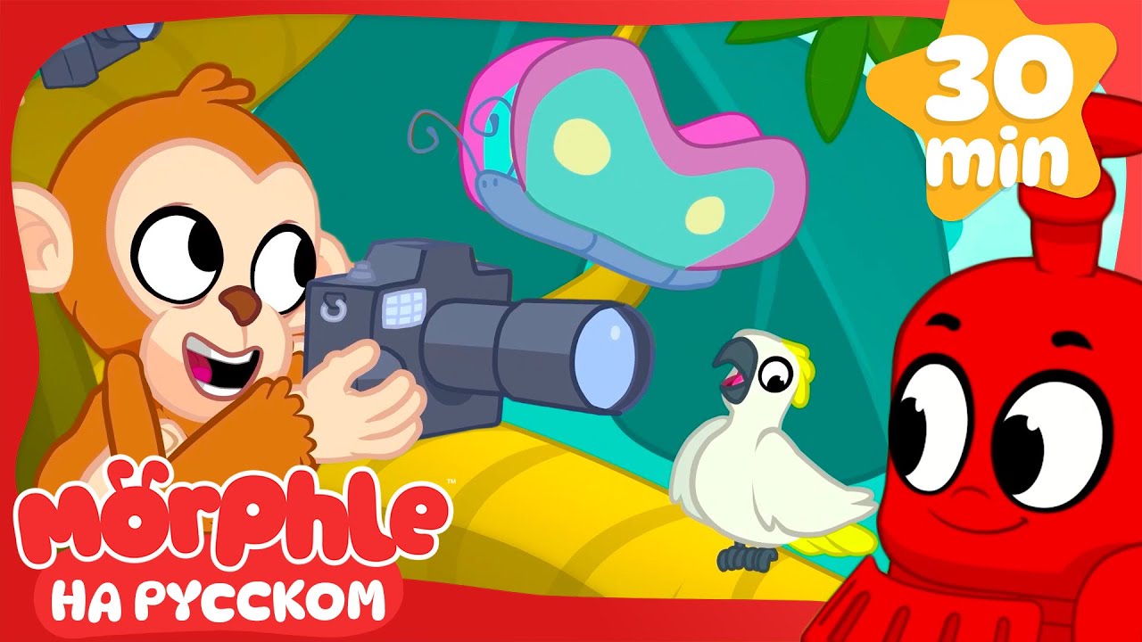 Вечеринка в джунглях | Морфл и волшебные | питомцымультики для детей