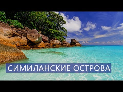 Экскурсия на Симиланские острова Као Лак Таиланд Цены Отзывы | Авитип