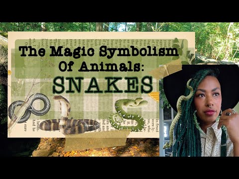 Video: Ką reiškia gyvatės simbolis?