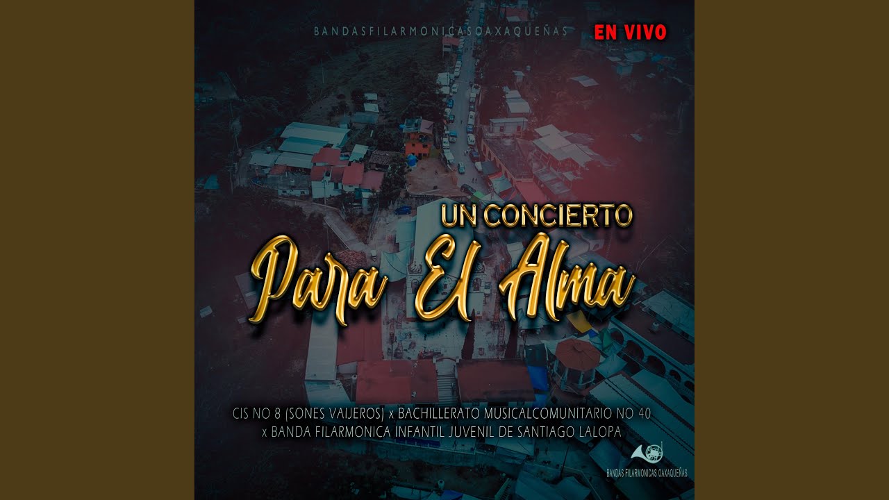 Sones y Jarabes (feat. Centro de Integración Social n.º 8 Sones Viajeros)