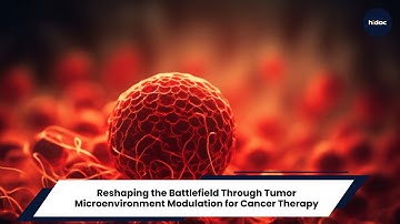 Reshaping the Battlefield Through Tumor Microenvironment Modulation for Cancer Therapy