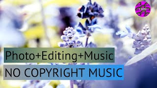 Paul Flint - Savage | Photo Editing Music | Sabita Baro 2021 screenshot 3