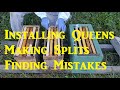  installing mated queens making splits and rookie mistakes