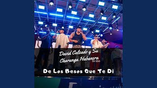 De los Besos Que Te Di (En Vivo)