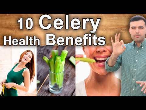 Video: The Benefits Of Celery: Why This Vegetable Should Be Included In The Diet