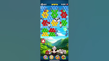 Panda 🐼 pop level 20