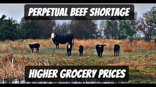 Trump Administration prolonged the cattle shortage for no reason