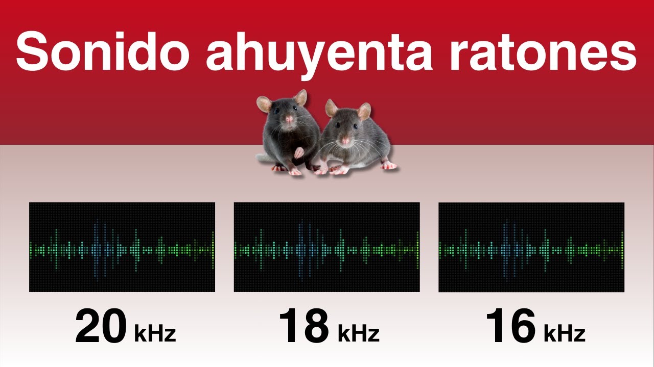Sonido para ahuyentar ratones | Tres ultrasonidos diferentes que no les ...