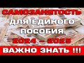 Самозанятость для Единого пособия 2024 - 2025 Что нужно знать